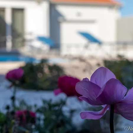 Flores Villa *