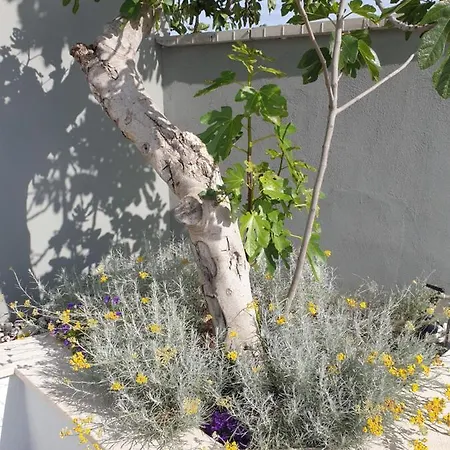 Flores Villa Kavran